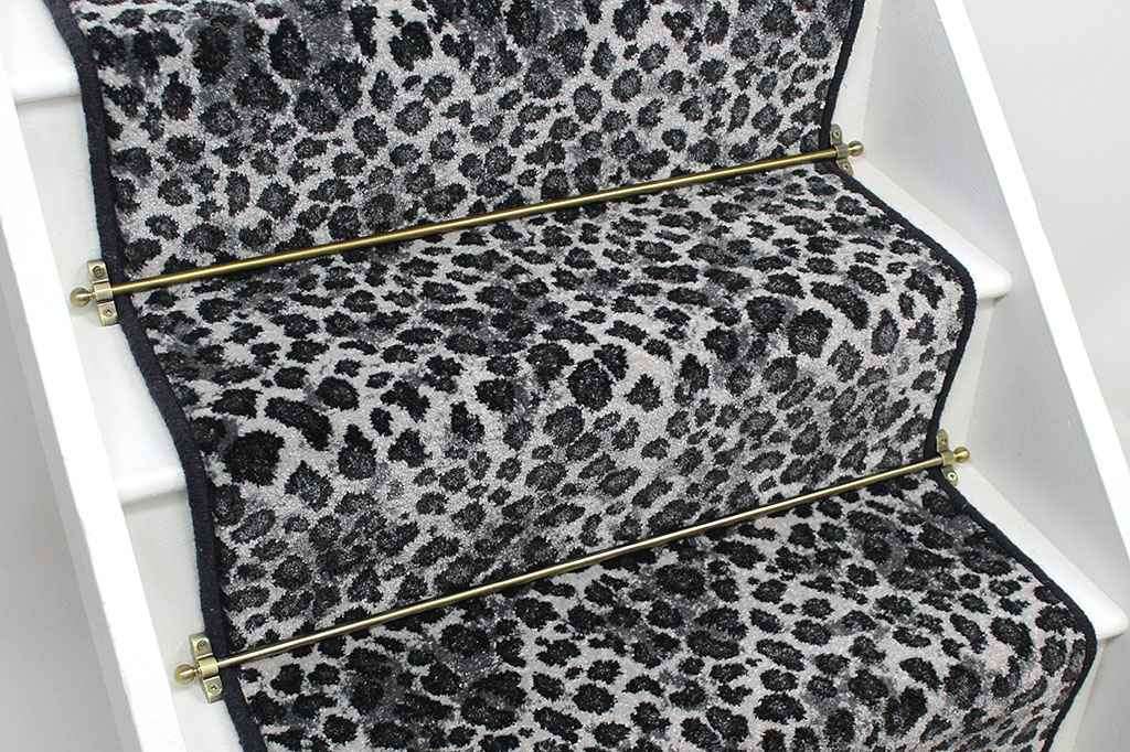 Snow Leopard 1