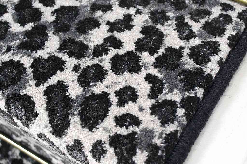 Snow Leopard 2