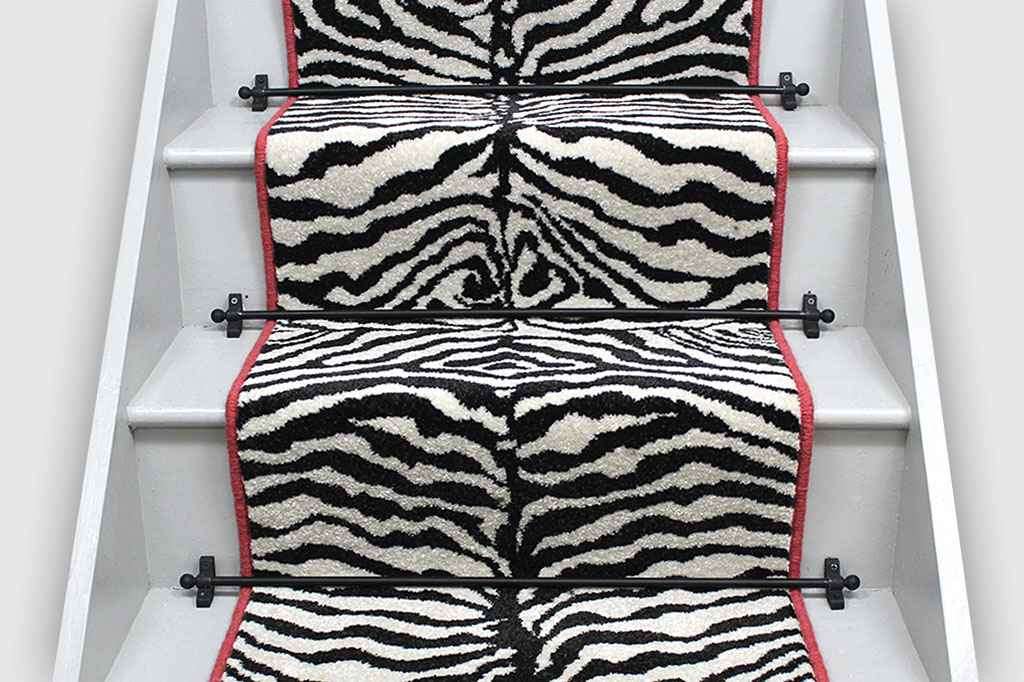 Zebra 1