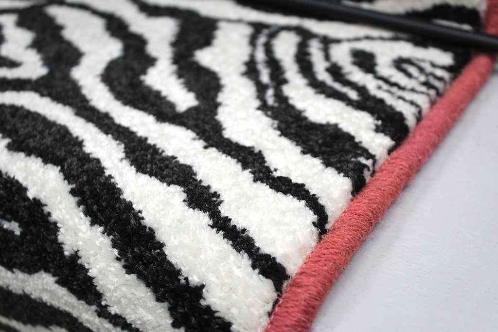 Zebra 2