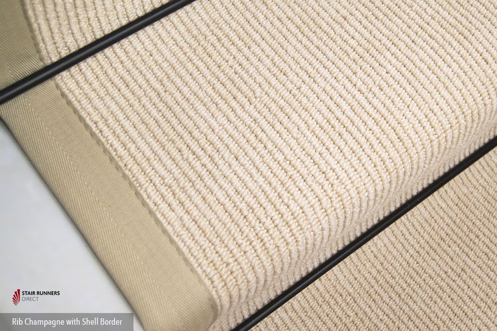 Rib Champagne Shell Border 3