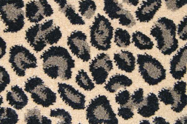 Natural Leopard Landing