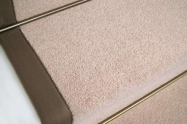 Sherbet Chestnut 2