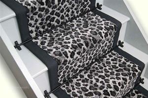 snow-leopard--iron-border-1.jpg