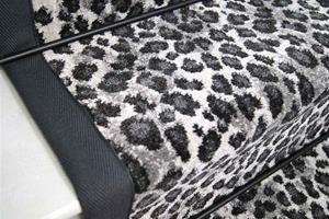 snow-leopard--iron-border-2.jpg