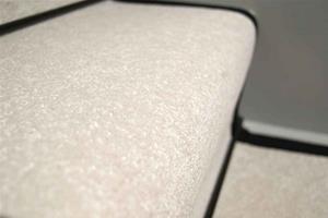 white-whisper-velvet--black-border-4(1).jpg