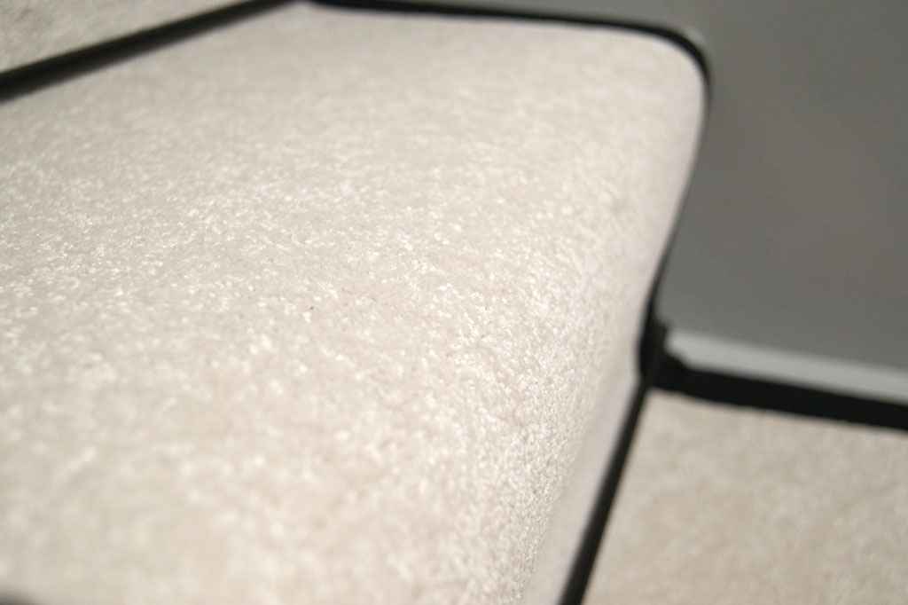 white-whisper-velvet--black-border-4(1).jpg